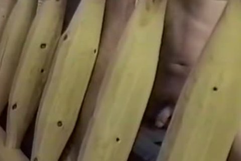 Hang Em Cowtwink - Scene 2