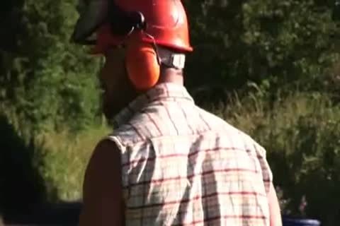 pleasure in the garden