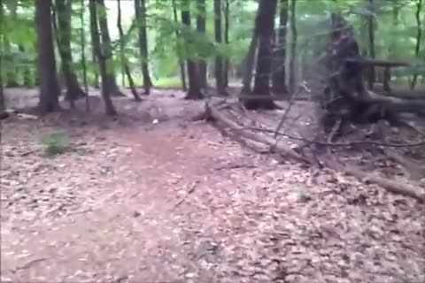 Being Used Outdoor - Nacktsau-Benutzung Auf Rastplatz