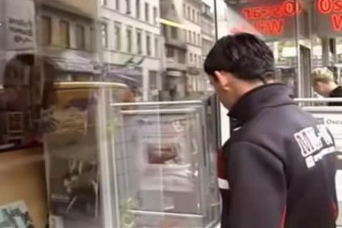 gays In Frankfurt Am Main