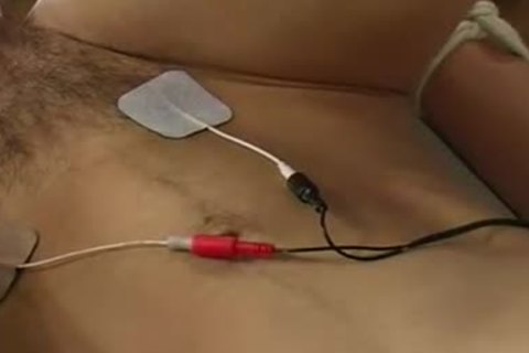 Doctor Freuds special Treatstudst