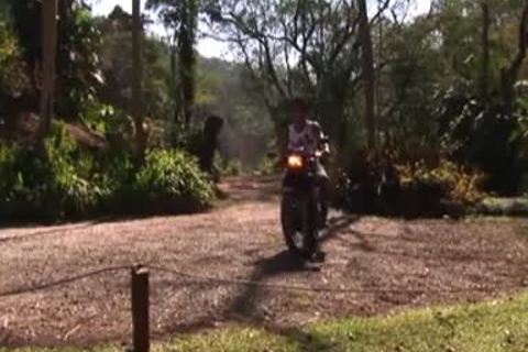 Alber Andre Edited - Scene 1 - Brasil