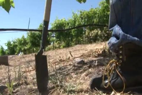 Next Door World - Farmer And The Fuzz