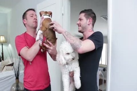 Married Trevor Knight pokeed By A homosexual