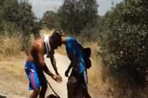 MachÃµes slavemasteresticando Cadelinha