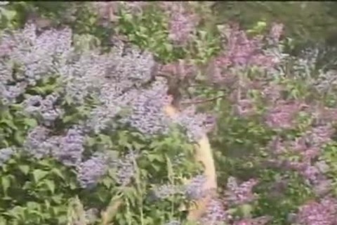 eighteen today 8 - Scene 1