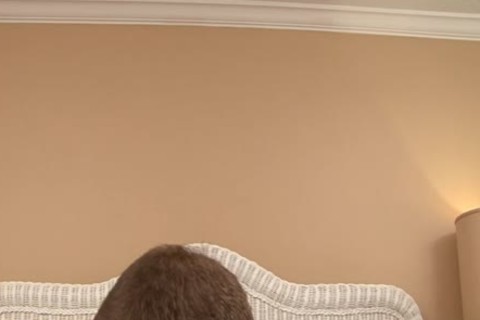 Brandon Lewis Has A Great Session Of wazoo stab