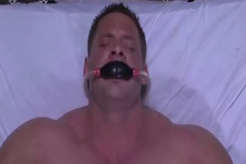 wild Clinical Threeway