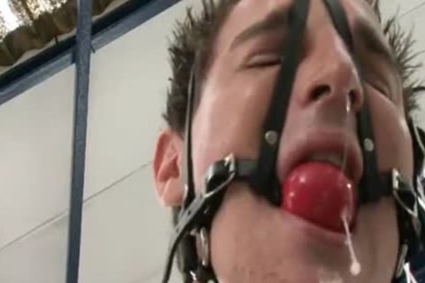 Art Exibit ass pound Machine