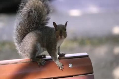 large dick lad ass job And ball cream flow