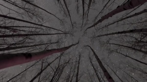 Stranded - Damien Stone & Jack Hunter anal Love