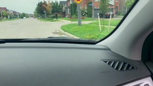 Pranksters - Dante Colle and Kit Cohen pooper Nail