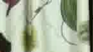 Sucked Down - amateur Action