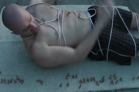 small Army Vs massive biggest