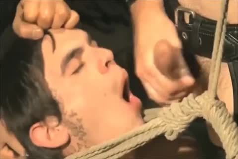 sperm dong juice Facial gulp horny Compilation #25 By VE1988