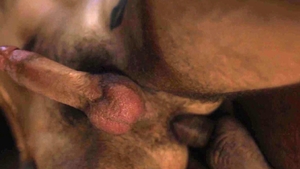 IconMale.com: American cheating indoors