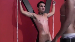BadBoyBondage.com: Super cute really likes whip