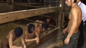 Koh Masaki - homo Milk Farm