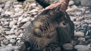 Beno's Gaping Hole Filled by Raffi's Spent Dick