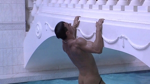 Young, Wild and Free In The Buffet Of Love