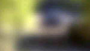 Next Door Buddies: Horny Hike at the Mountain Retreat